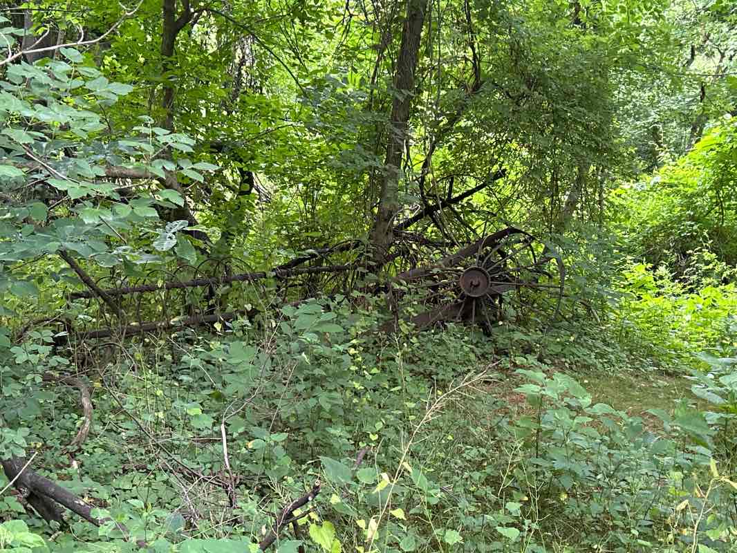 walking near me in Susquehanna State Park in winter
