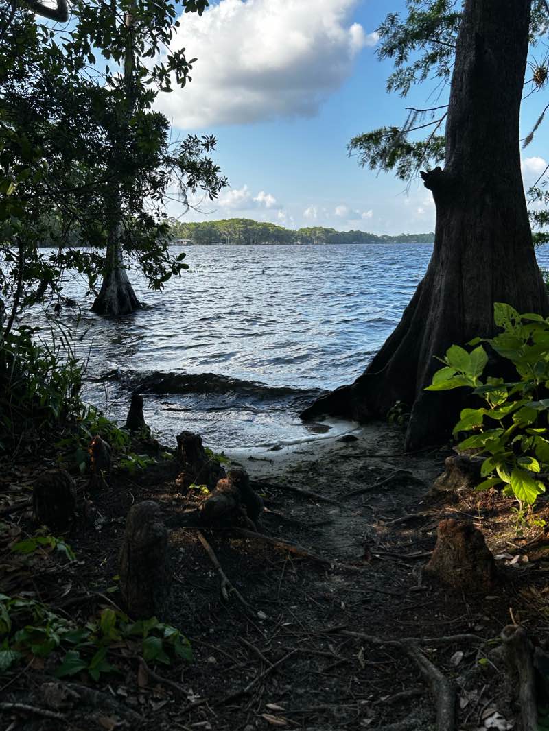walking near me in Lake Mills Park in winter