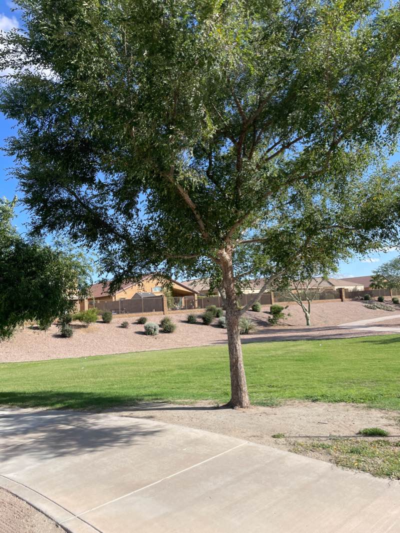 walking near me in Sorrento Park 2 in winter