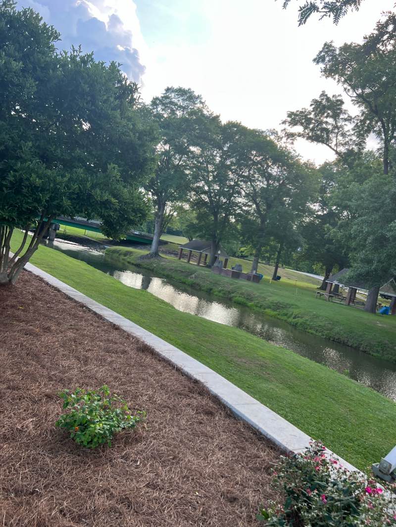 walking near me in Seaborn Jones Park in winter