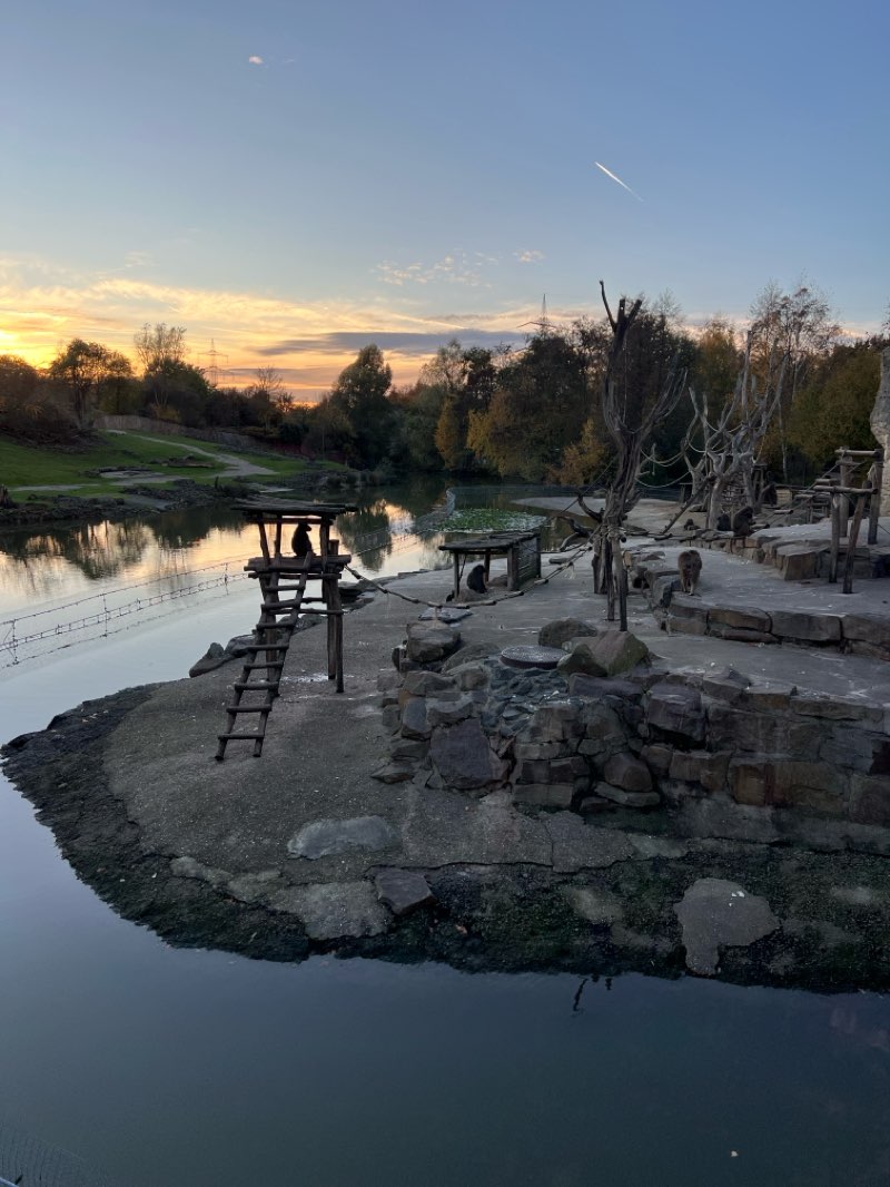 walking near me in ZOOM Erlebniswelt Afrika in autumn