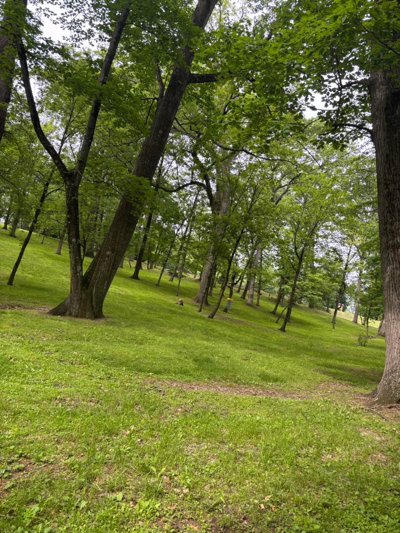 walking near me in Coleman Memorial Park in spring