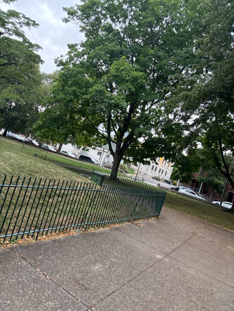 walking near me in Monument Park in summer