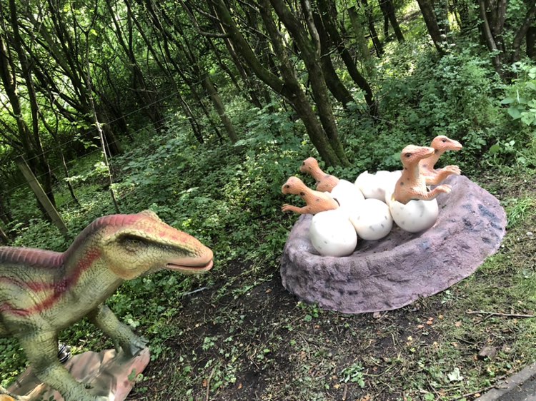 walking near me in Cuningar Loop Woodland Park in summer