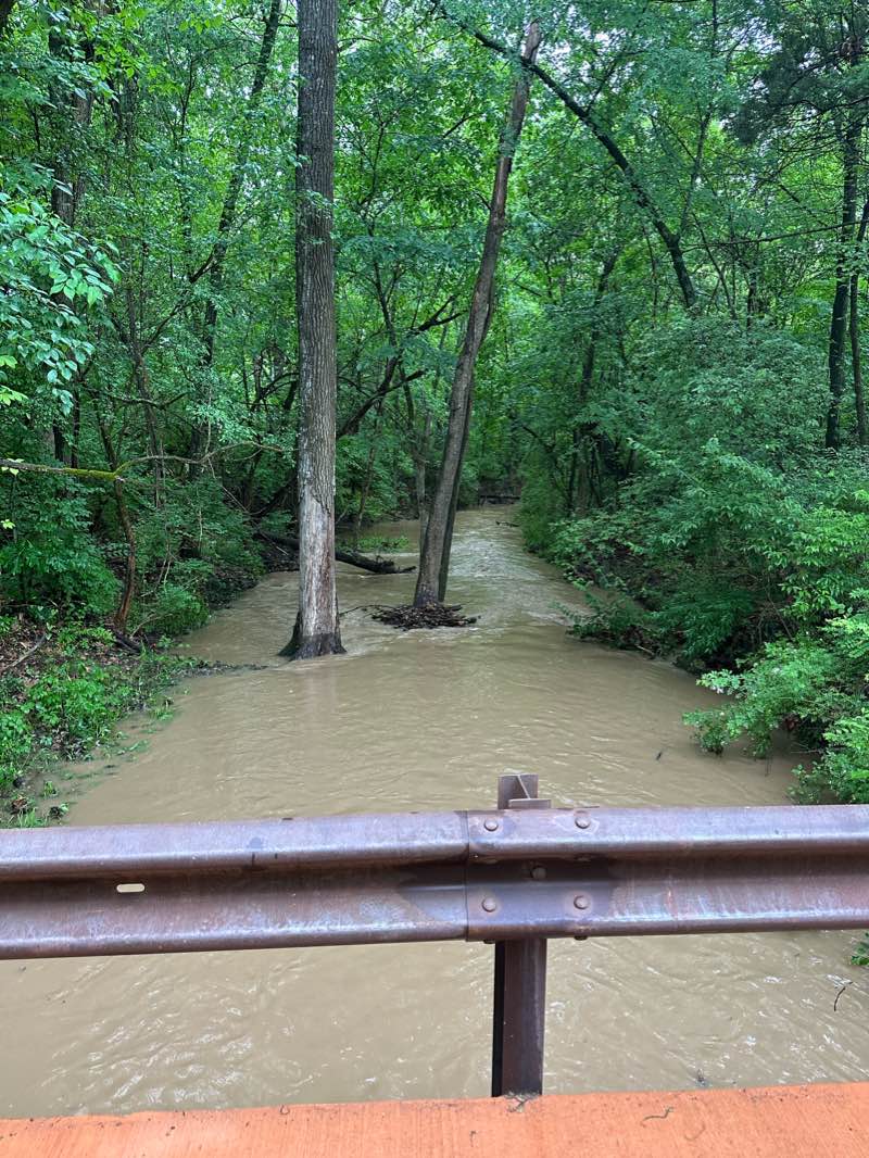 walking near me in Bryce Davis Park in winter