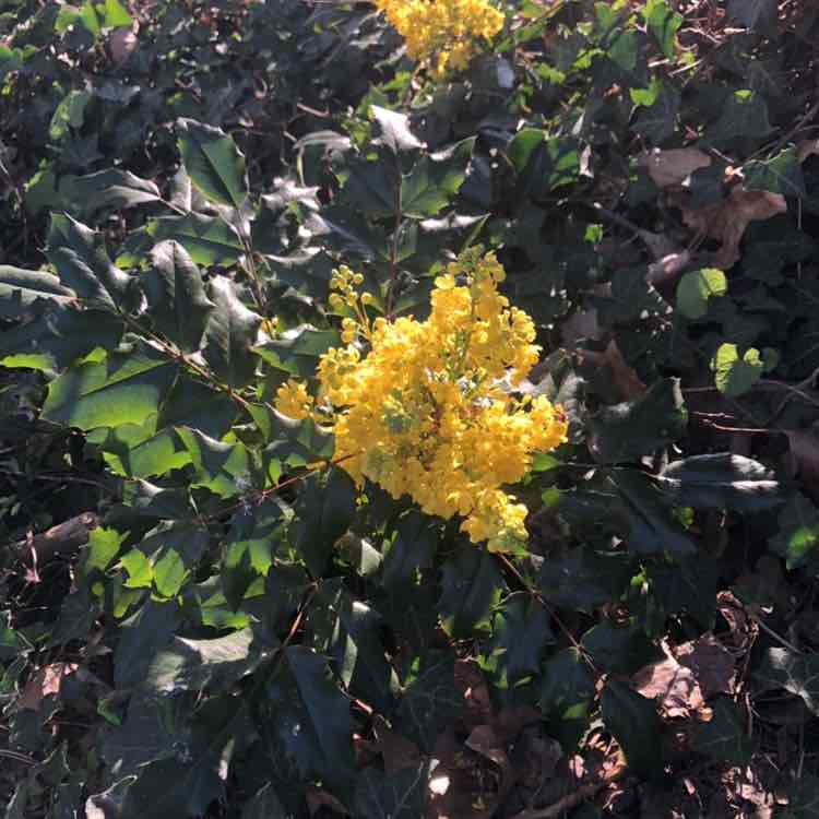 wandelplezier jacqueline post image