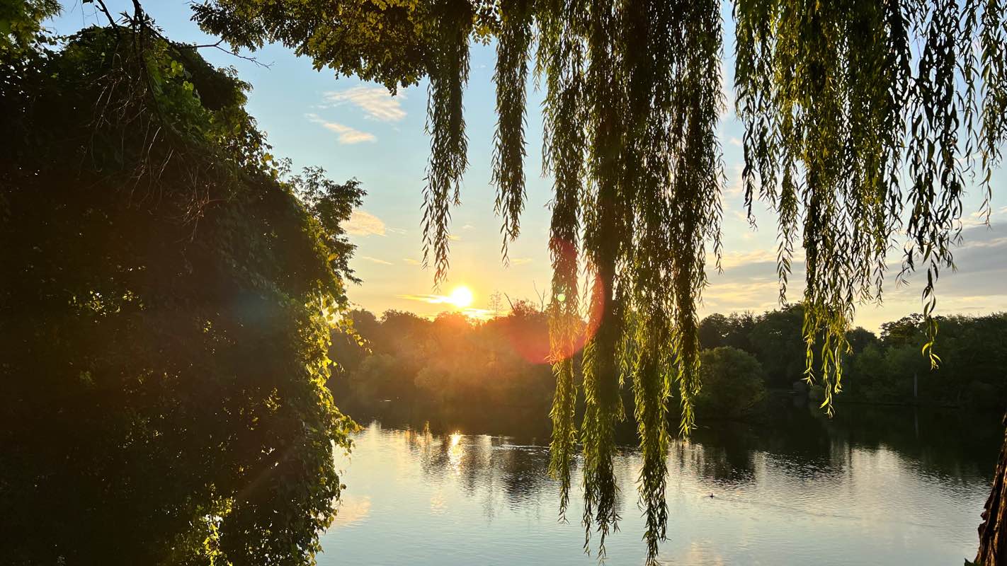 walking near me in Millennium Park in winter
