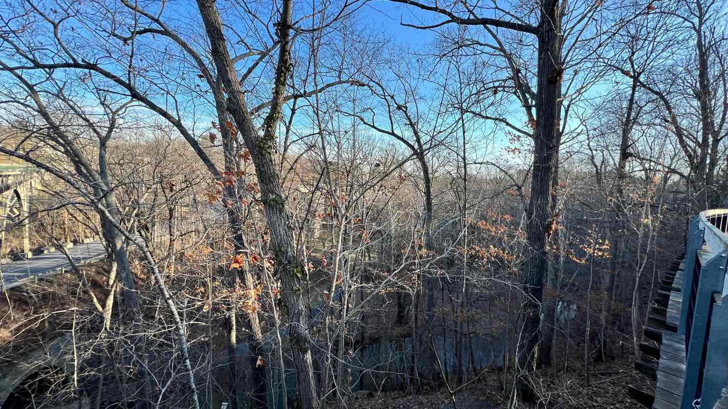 walking near me in Woods Creek Park in winter