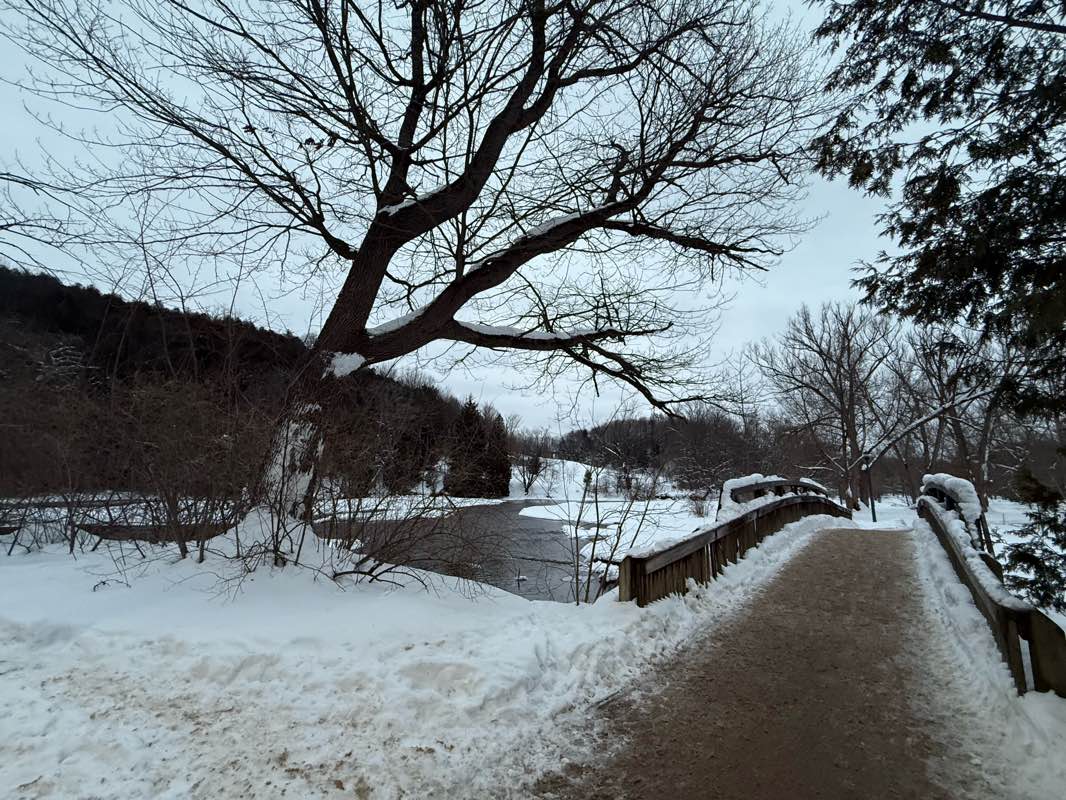 walking near me in Harrison Park in winter