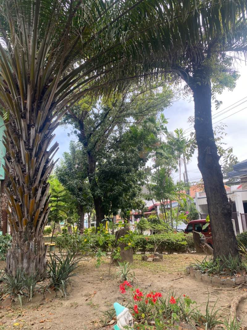 walking near me in Meadowood Executive Village Park in winter