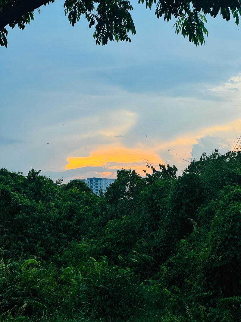 walking near me in Công viên Văn hóa Gò Vấp in winter