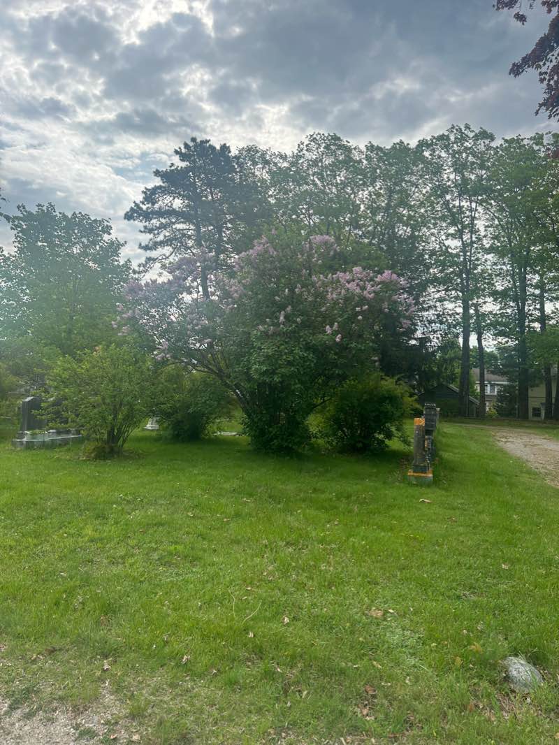 walking near me in Evergreen Woods Hiking trails in winter