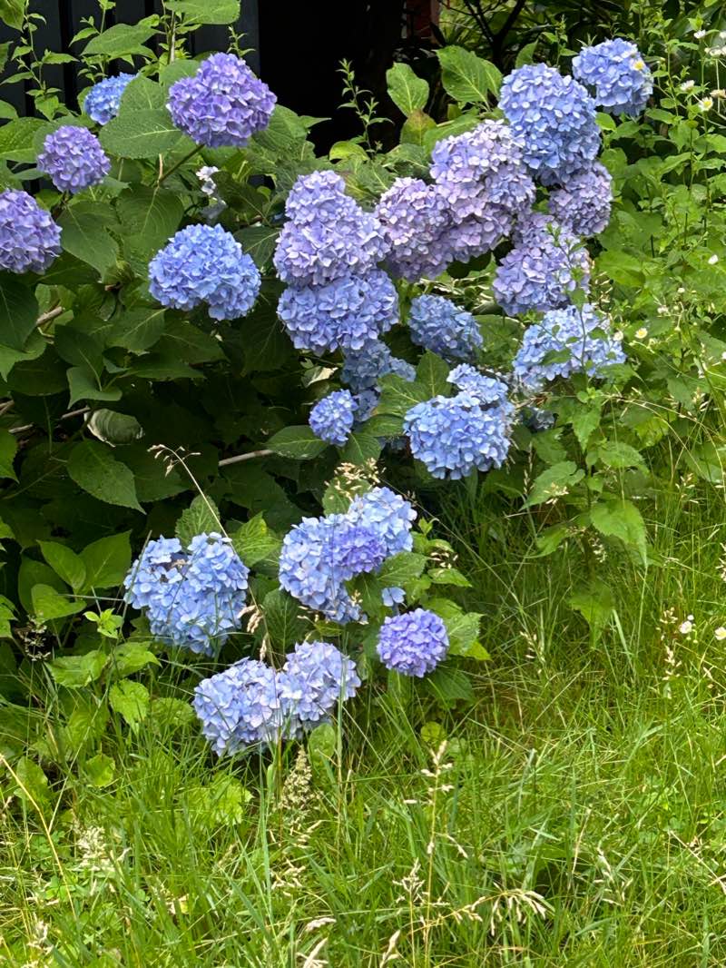walking near me in Cummingham Playground in winter