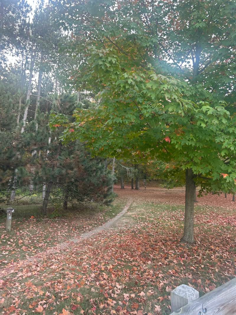 walking near me in Mayor Baxter Woods in autumn