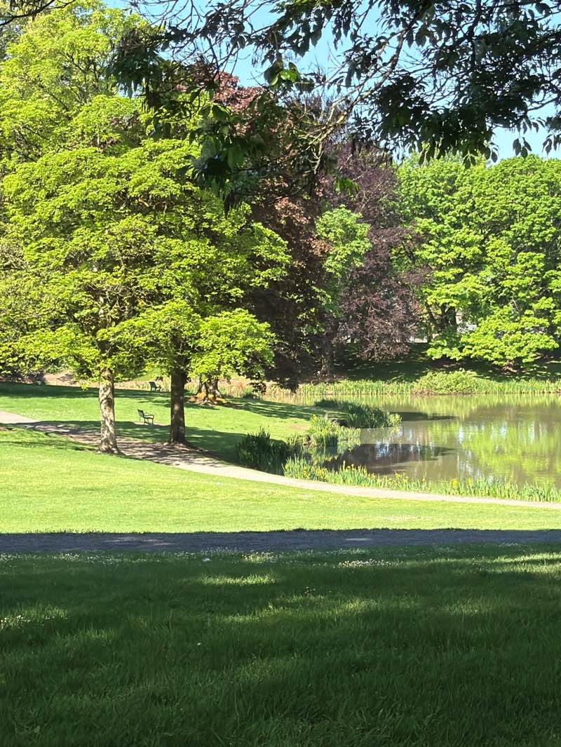 walking near me in Lake Sacajawea Park in spring