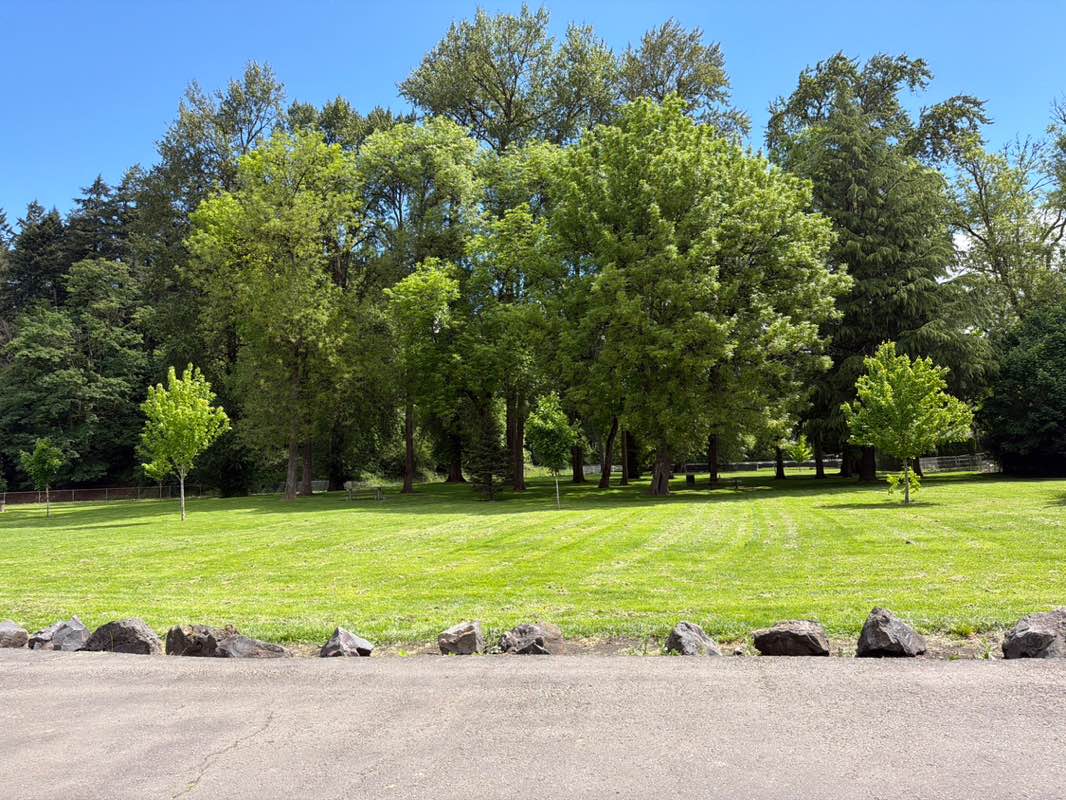walking near me in John Null Park in summer