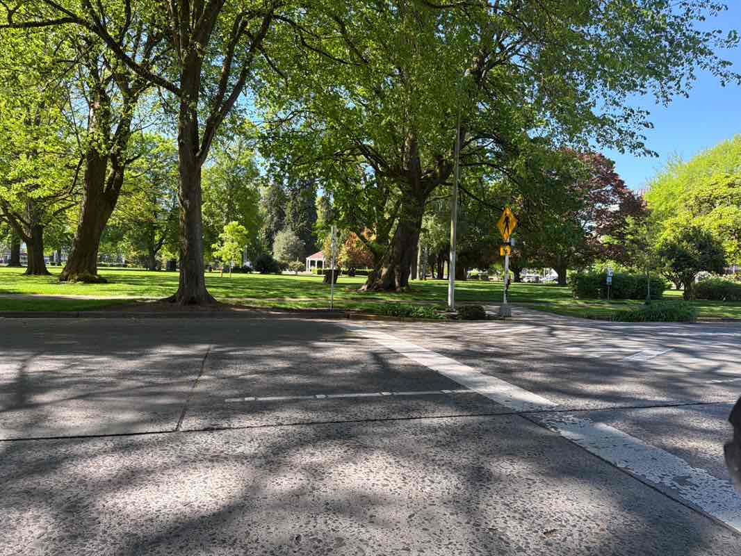 walking near me in R. A. Long Park in spring