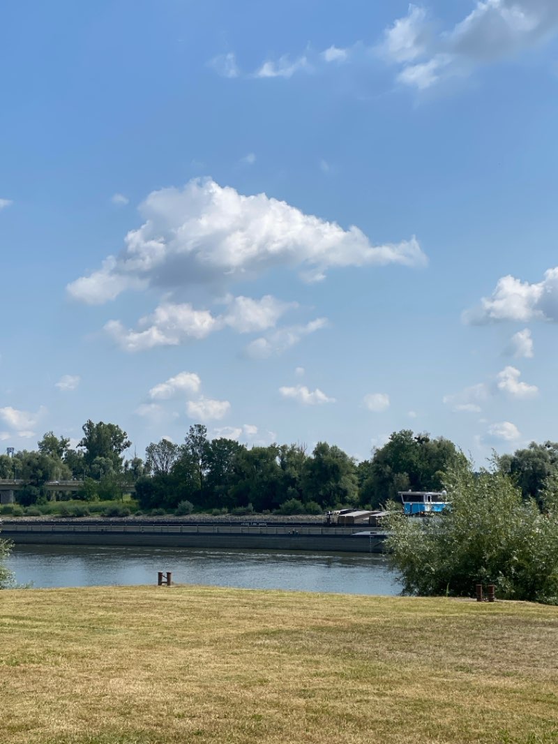walking near me in Donaupark in summer