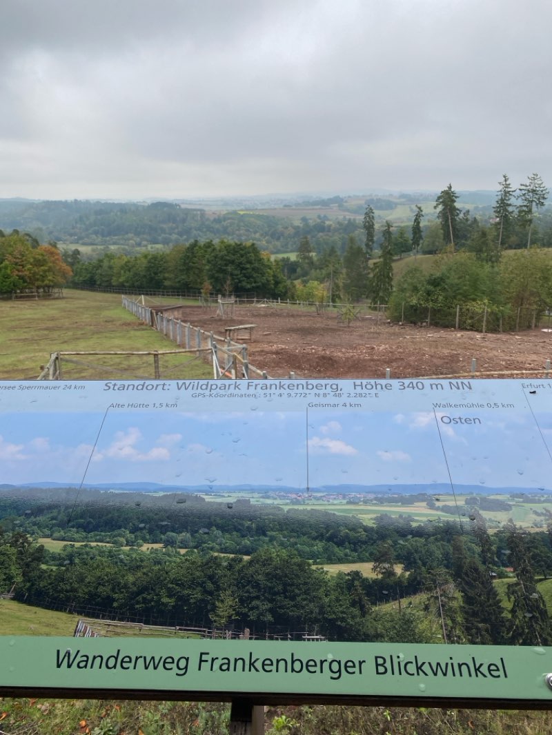 walking near me in Wildpark Frankenberg in autumn