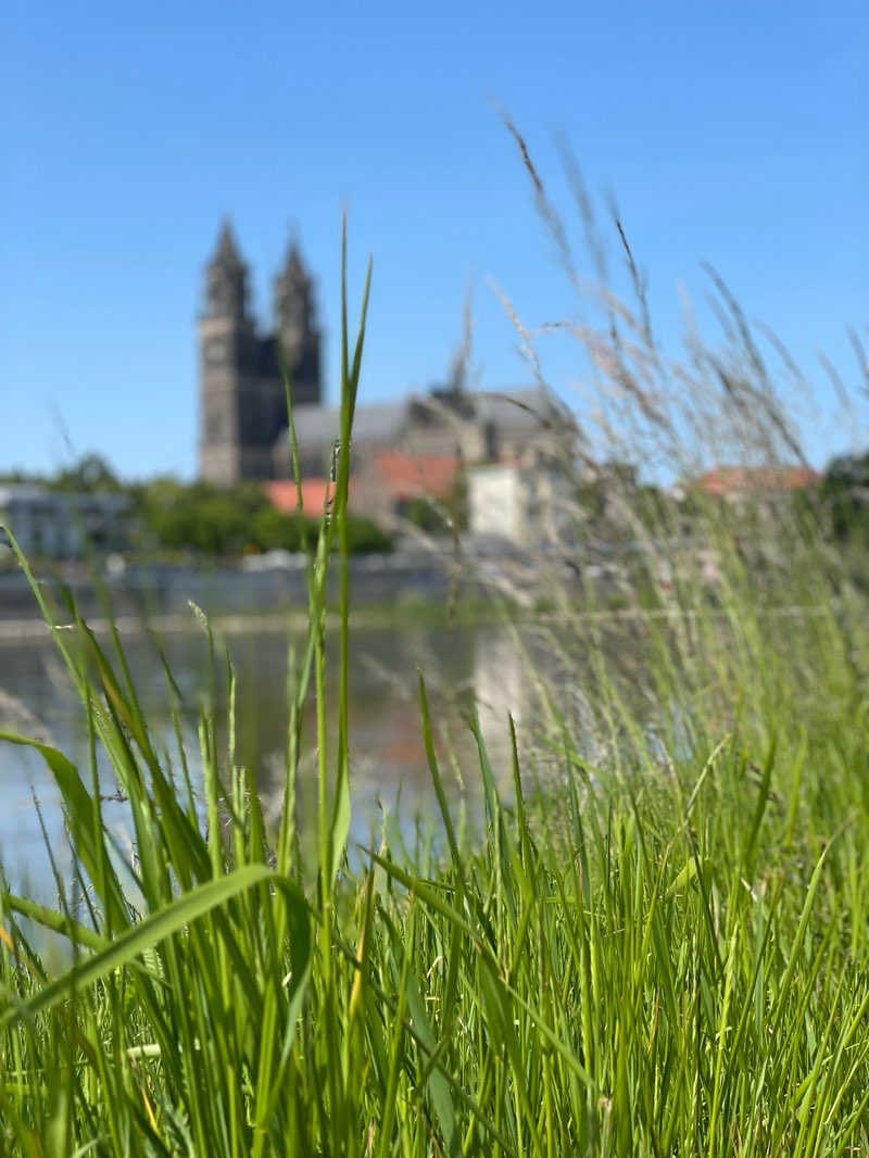 walking near me in Strubepark in winter