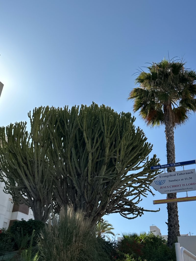 walking near me in Parque municipal Sierra de Santa Pola in summer