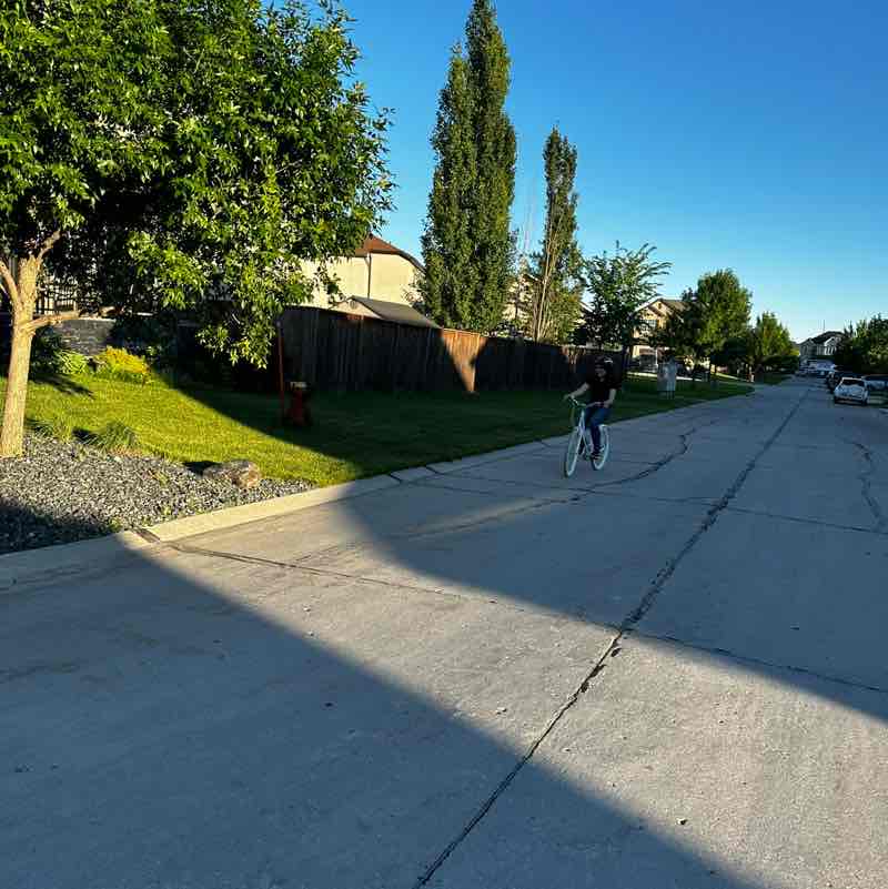 LiftWithSepi Saba :) post image