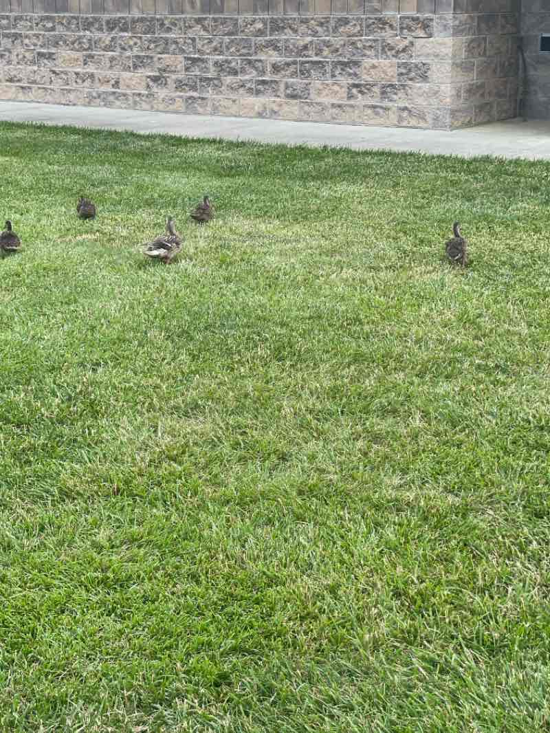 walking near me in Miami Meadows Park in winter