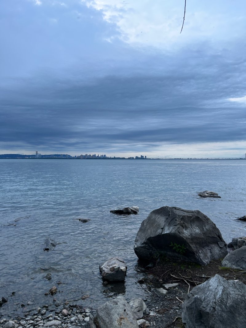 walking near me in Parc du Petit Bonheur in winter
