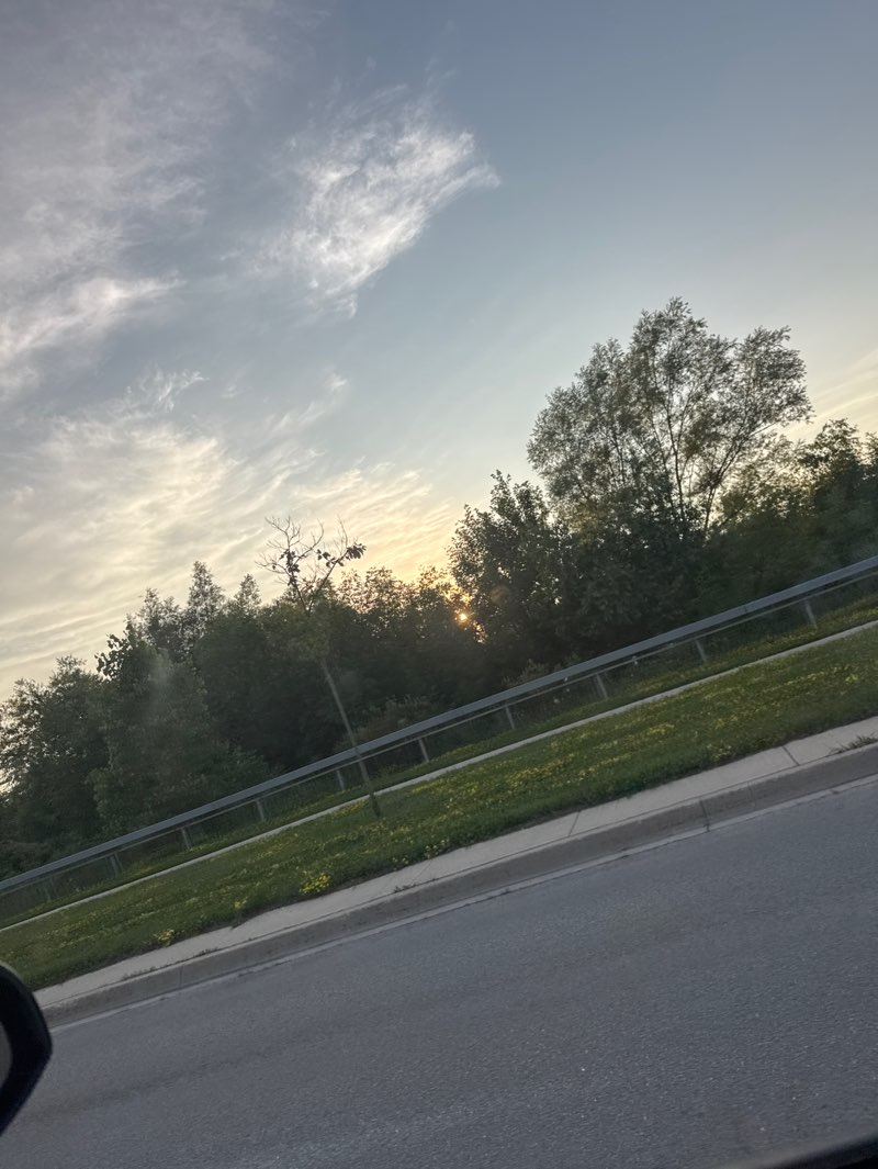 walking near me in Creditview Sandalwood Park in summer