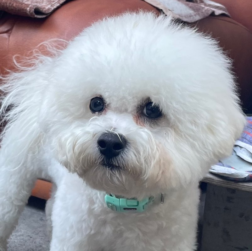 Yana Yatsevich profile