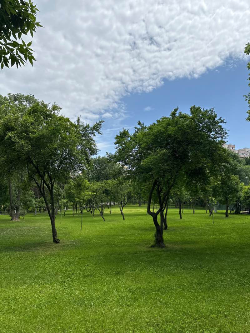 walking near me in Parcul Morarilor in winter