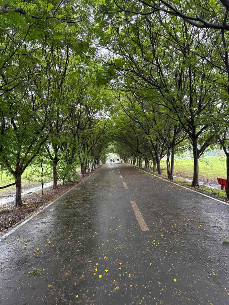 walking near me in Nisarg Garden in autumn