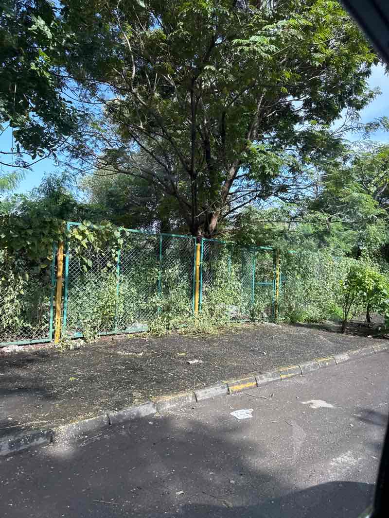 walking near me in NMMC Park in autumn