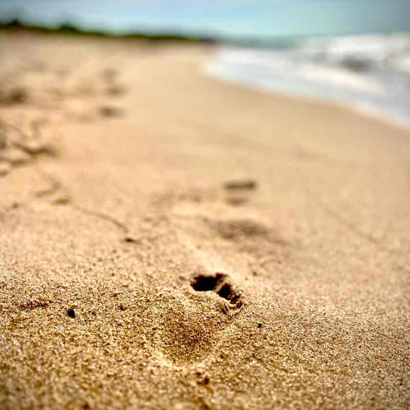 Michal Wronka post 2