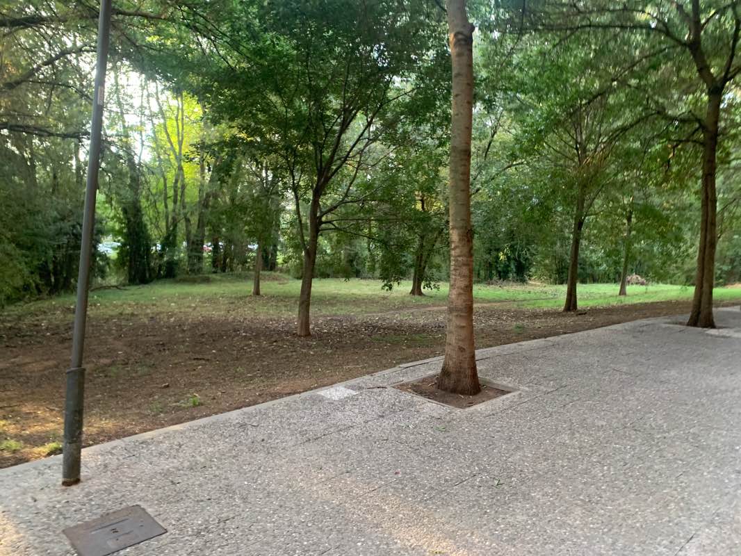 walking near me in Jardins de Vicenç Albert Ballester i Camps in winter