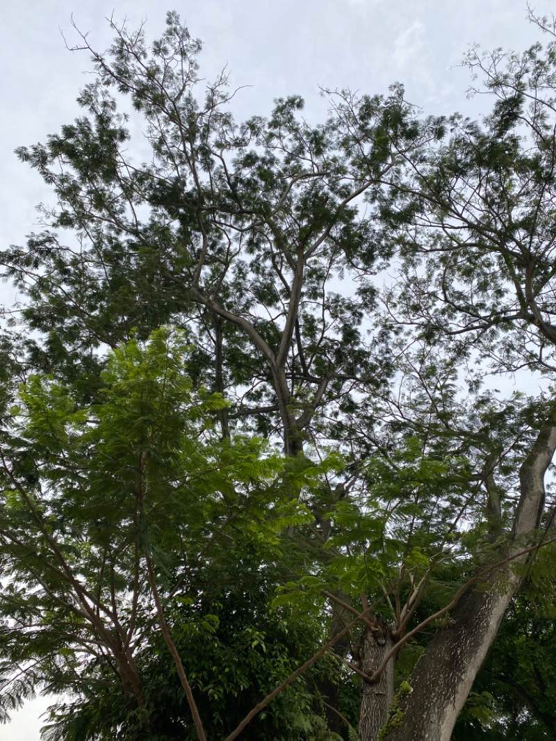 walking near me in Section 17 Flats Park in winter