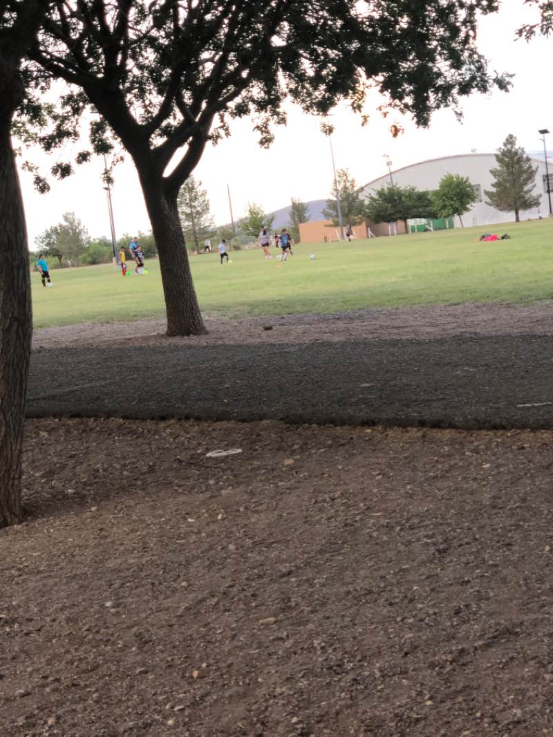 walking near me in Airport Park in winter