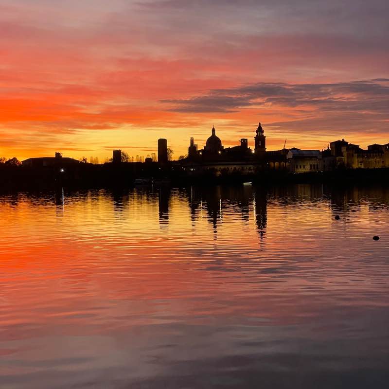 Mantua me genuit Dario                   🍀 post image