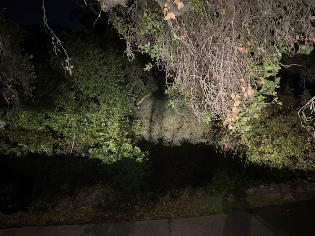 walking near me in Huber Park in autumn