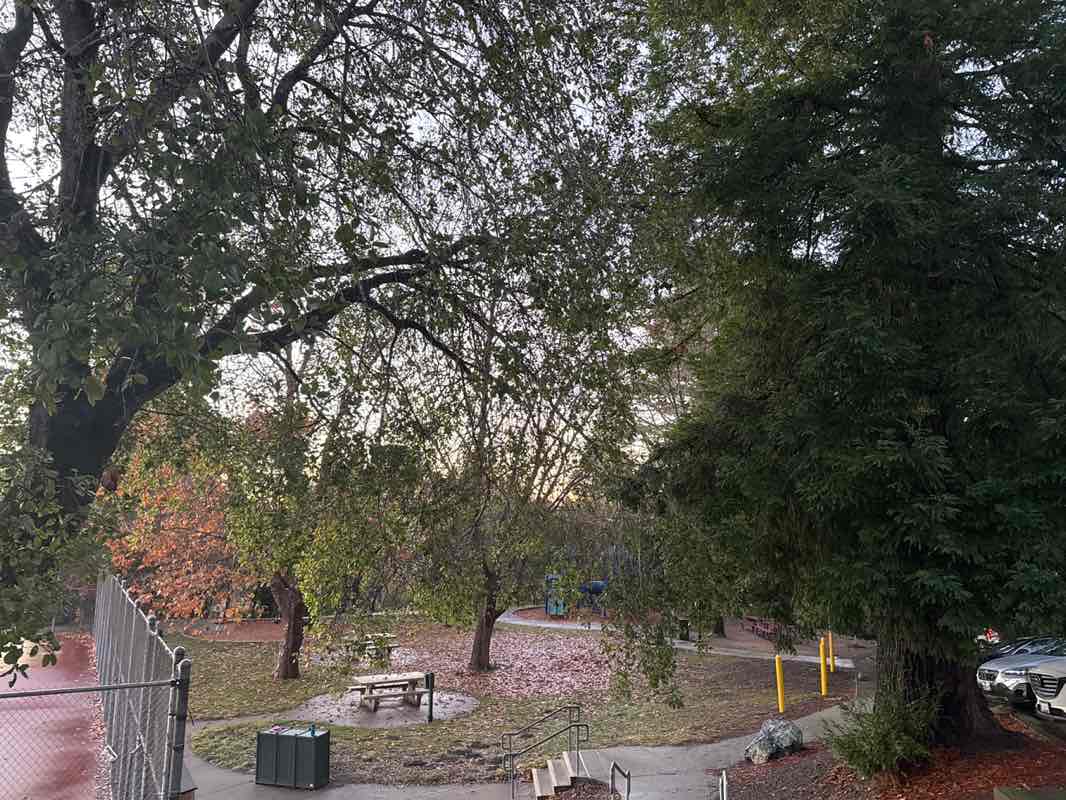 walking near me in Kensington Park in winter