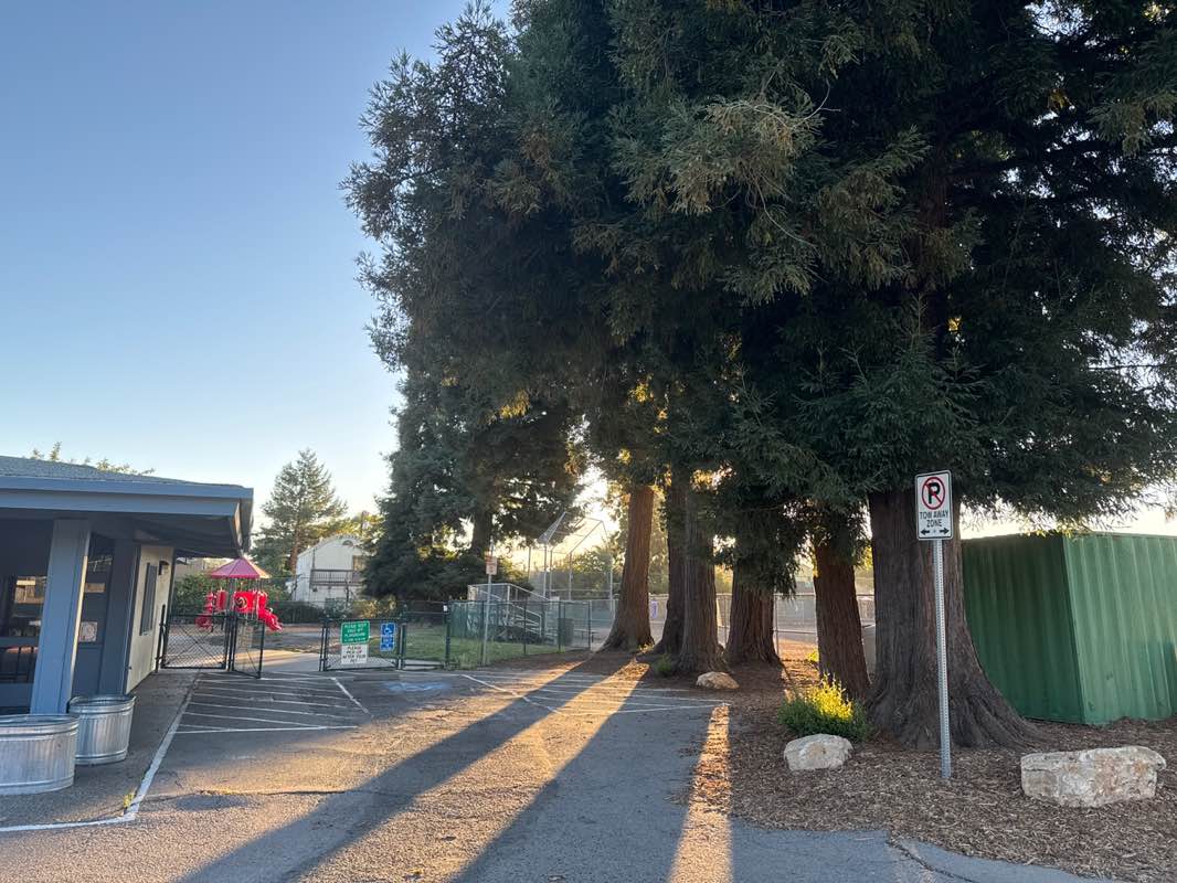walking near me in Harding Park in autumn