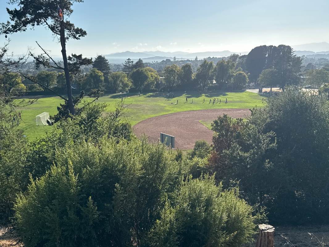 walking near me in Cerrito Vista Park in autumn