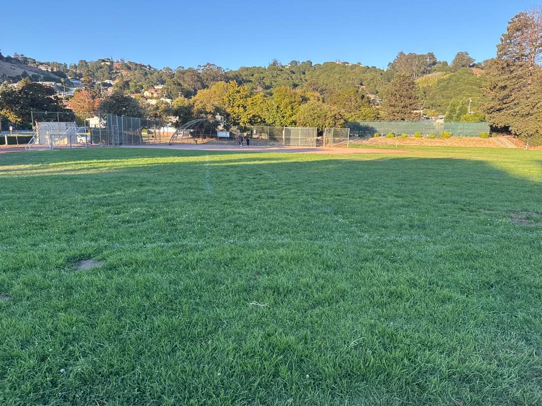walking near me in Castro Park in autumn