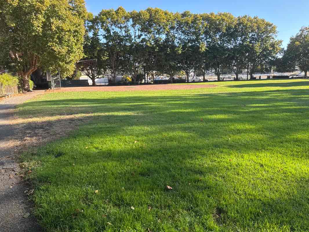 walking near me in Central Park in autumn