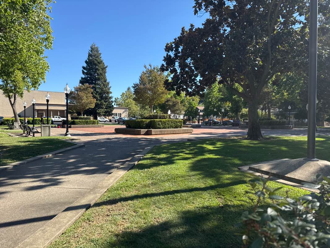 walking near me in Plaza Ignacio Martinez Park in autumn