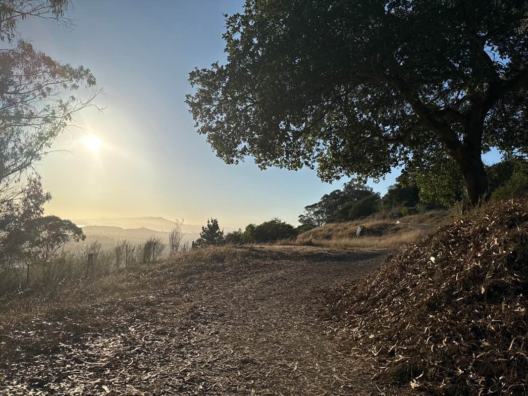 walking near me in Hillside Natural Area in autumn