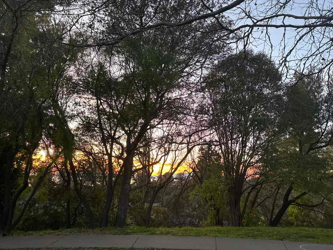 walking near me in Kensington Park in winter