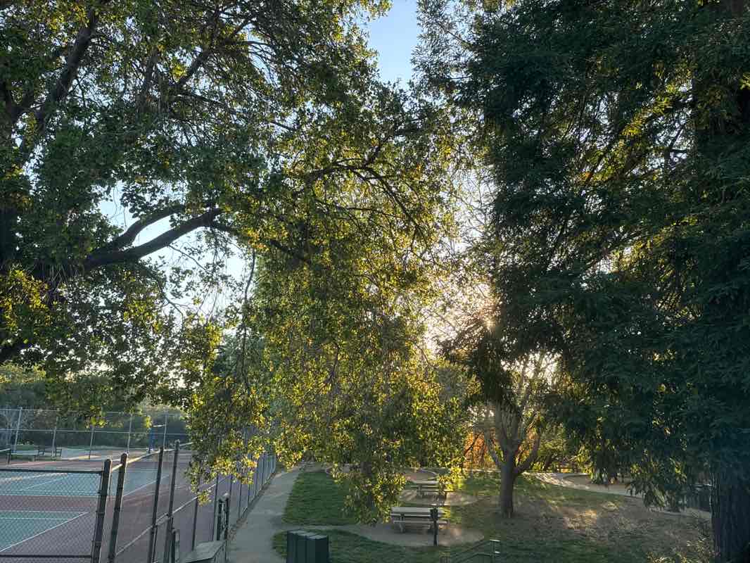 walking near me in Kensington Park in spring