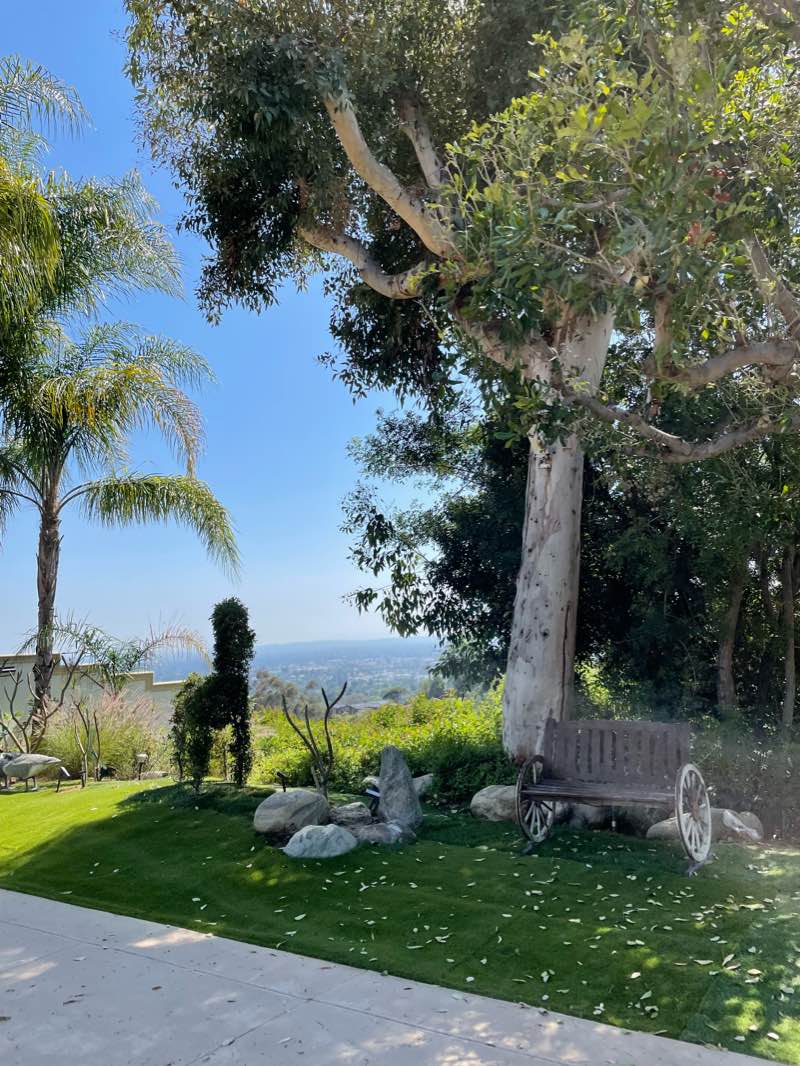 walking near me in Library Park in winter