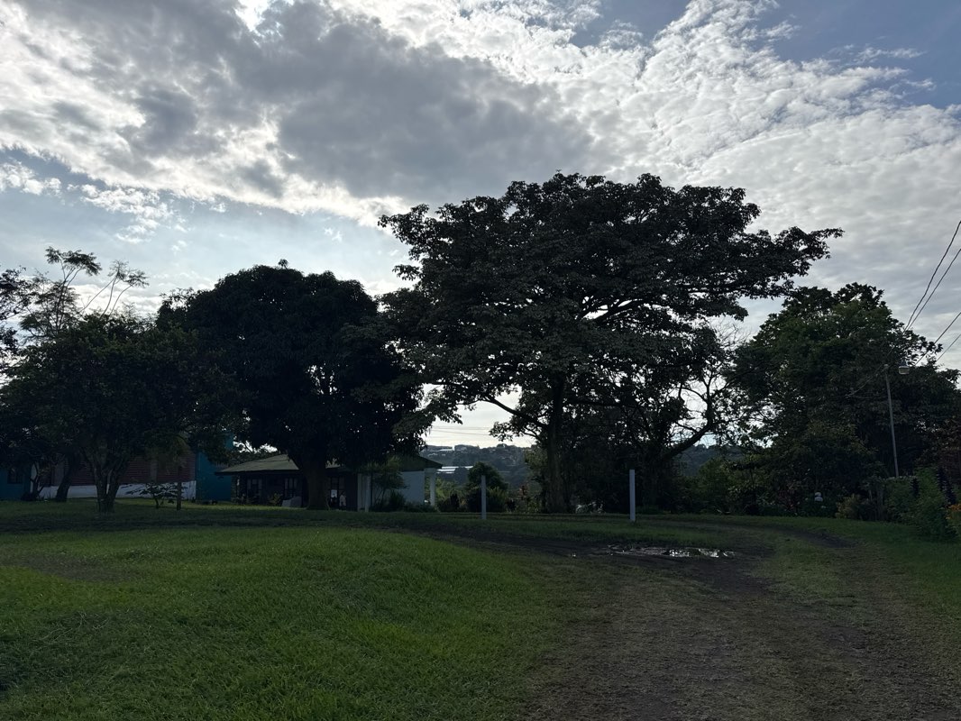 walking near me in Plaza Deportes Pinos in autumn